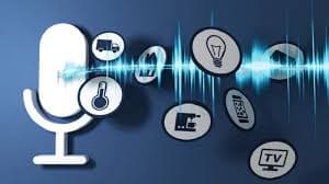 Voice Assistant Integration